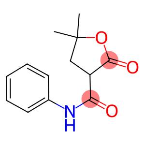 5,5-dimethyl-2-oxo-N-phenyltetrahydro-3-furancarboxamide