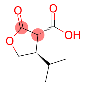 3-Furancarboxylicacid,tetrahydro-4-(1-methylethyl)-2-oxo-,trans-(9CI)