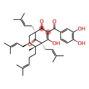 GUTTIFERONE A