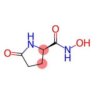 2-Pyrrolidinecarboxamide,N-hydroxy-5-oxo-,(R)-(9CI)