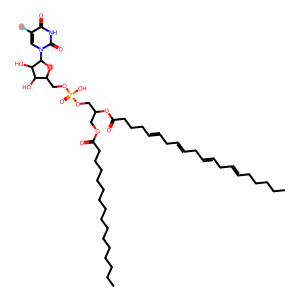 1-palmitoyl-2-arachidonoylphosphatidylfluorouridine