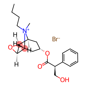 丁溴东莨菪碱