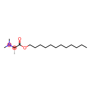 dodecyl 2-dimethylaminopropanoate