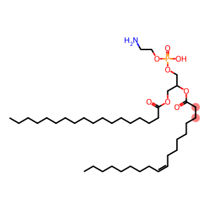 1-stearoyl-2-oleoylphosphatidylethanolamine