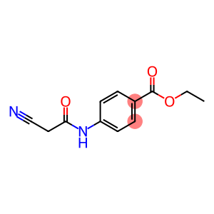 4-[(2-氰基乙酰基)氨基]苯甲酸乙酯