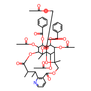 EBENIFOLINE E-III