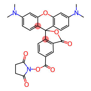 5(6)-Carboxytetramethylrhodamine succinimidyl ester