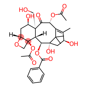 19-Hydroxybaccatin V