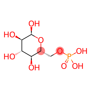 alpha-D-Glucopyranose 6-phosph