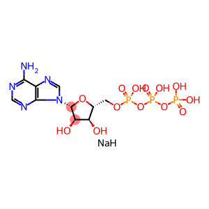 腺苷5'-三磷酸钠