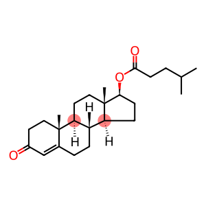 17beta-hydroxyandrost-4-ene-3-one 4-methylvalerate