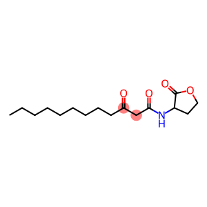 Pseudomonas aeruginosa autoinducer