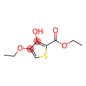 2-Thiophenecarboxylicacid,4-ethoxy-3-hydroxy-,ethylester(9CI)