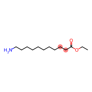 11-Aminoundecanoic acid ethyl ester