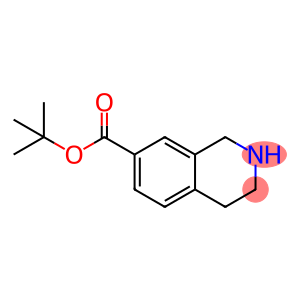 1,2,3,4-四氢异喹啉-7-羧酸叔丁酯