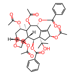 TAXAYUNTIN C(SH)