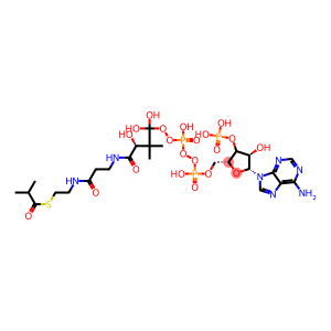 Coenzyme A, S-(2-methylpropanoate)