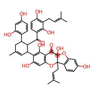 Sorocein H