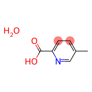 5-甲基吡啶甲酸水合物