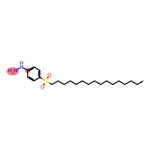 [4-(Hexadecylsulfonyl)phenyl]hydrazine