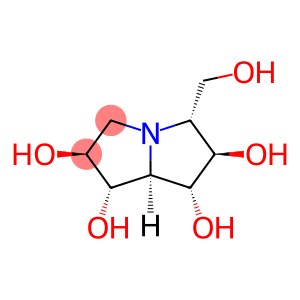 casuarine