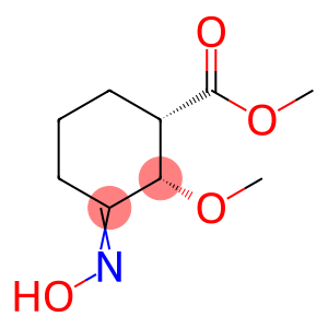 Cyclohexanecarboxylic acid, 3-(hydroxyimino)-2-methoxy-, methyl ester, (1S-cis)- (9CI)