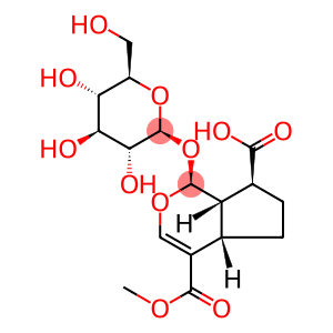 11-Methylforsythide