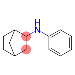 N-苯基-2-氨基降冰片烷