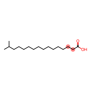 15-METHYLHEXADECANOIC ACID