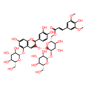 2-(3,4-Dihydroxyphenyl)-3-[[2-O-尾-D-glucopyranosyl-6-O-[(2E)-3-(4-hydroxy-3,5-dimethoxyphenyl)-1-oxo-2-propen-1-yl]-尾-D-glucopyranosyl]oxy]-5-(尾-D-glucopyranosyloxy)-7-hydroxy-1-benzopyrylium