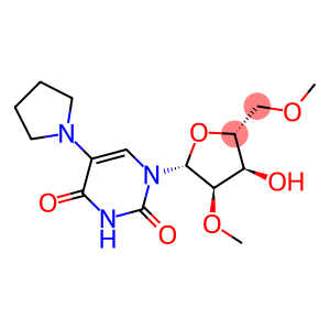 2'-O-Methyl-5-(1-pyrrolidinyl)methyluridine