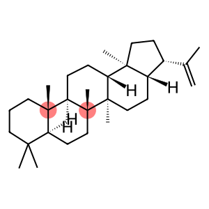 diploptene