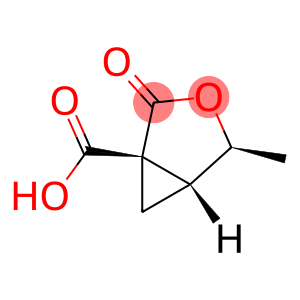 3-Oxabicyclo[3.1.0]hexane-1-carboxylicacid,4-methyl-2-oxo-,[1S-(1alpha,4alpha,5alpha)]-(9CI)