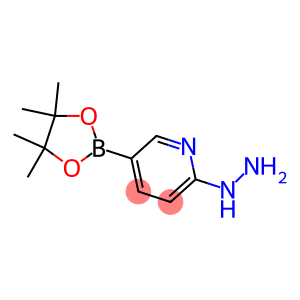 2-HYDRAZINYL-5-(4,4,5,5-TETRAMETHYL-1,3,2-DIOXABOROLAN-2-YL)PYRIDINE