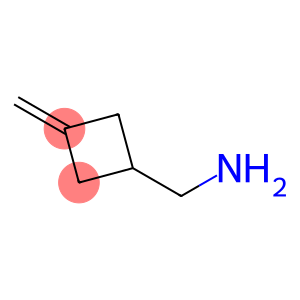 1-(Aminomethyl)-3-methylenecyclobutane 97%