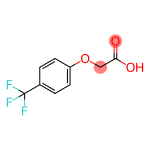 2-(4-(三氟甲基)苯氧基