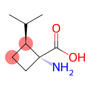 Cyclobutanecarboxylic acid, 1-amino-2-(1-methylethyl)-, trans- (9CI)