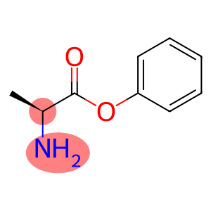 PHENYLALANINE