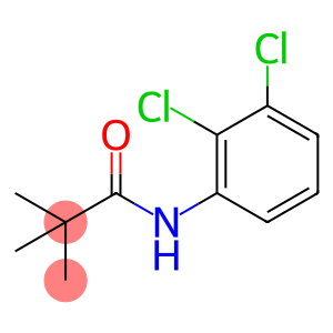 PropanaMide, N-(2,3-dichlorophenyl)-2,2-diMethyl-