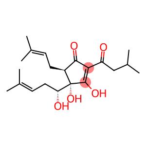 RHO-ISOHUMULONEA2