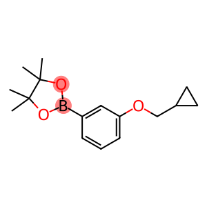 2-(3-(cyclopropylmethoxy)phenyl)-4,4,5,5-tetramethyl-1,3,2-dioxaborolane