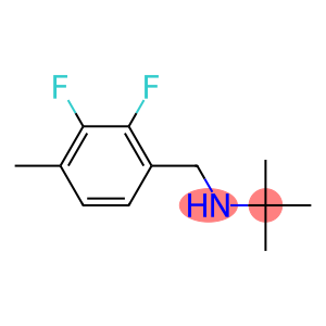 N-(1,1-Dimethylethyl)-2,3-difluoro-4-methylbenzenemethanamine