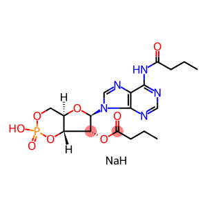 二丁酰环磷腺苷钠