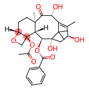 7-Deoxy-10-DABⅢ