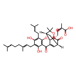 Gambogenic acid