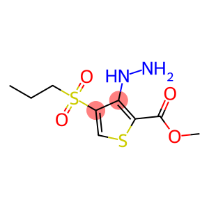 Methyl 3-hydrazinyl-4-(propylsulfonyl)thiophene-2-carboxylate