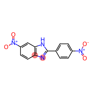 5-Nitro-2-(4-nitrophenyl)-1H-benzoimidazole