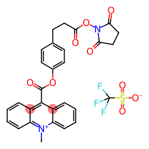 Acridinium C2 NHS ester