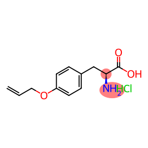 L-Tyrosine,O-2-propenyl-, hydrochloride (9CI)