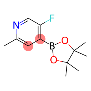 5-氟-2-甲基-4-(4,4,5,5-四甲基-1,3,2-二氧硼杂环戊烷-2-基)吡啶